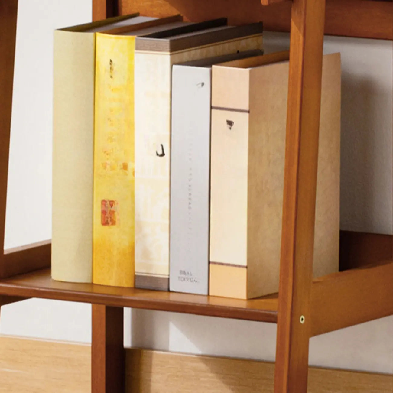 Bibliothèque échelle moderne en bois pour le salon